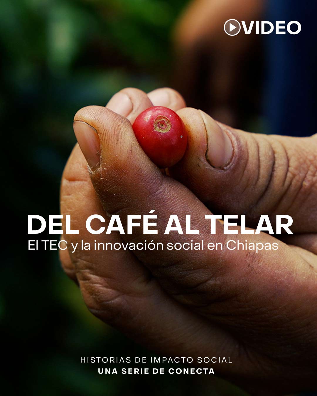 tec innovacion social