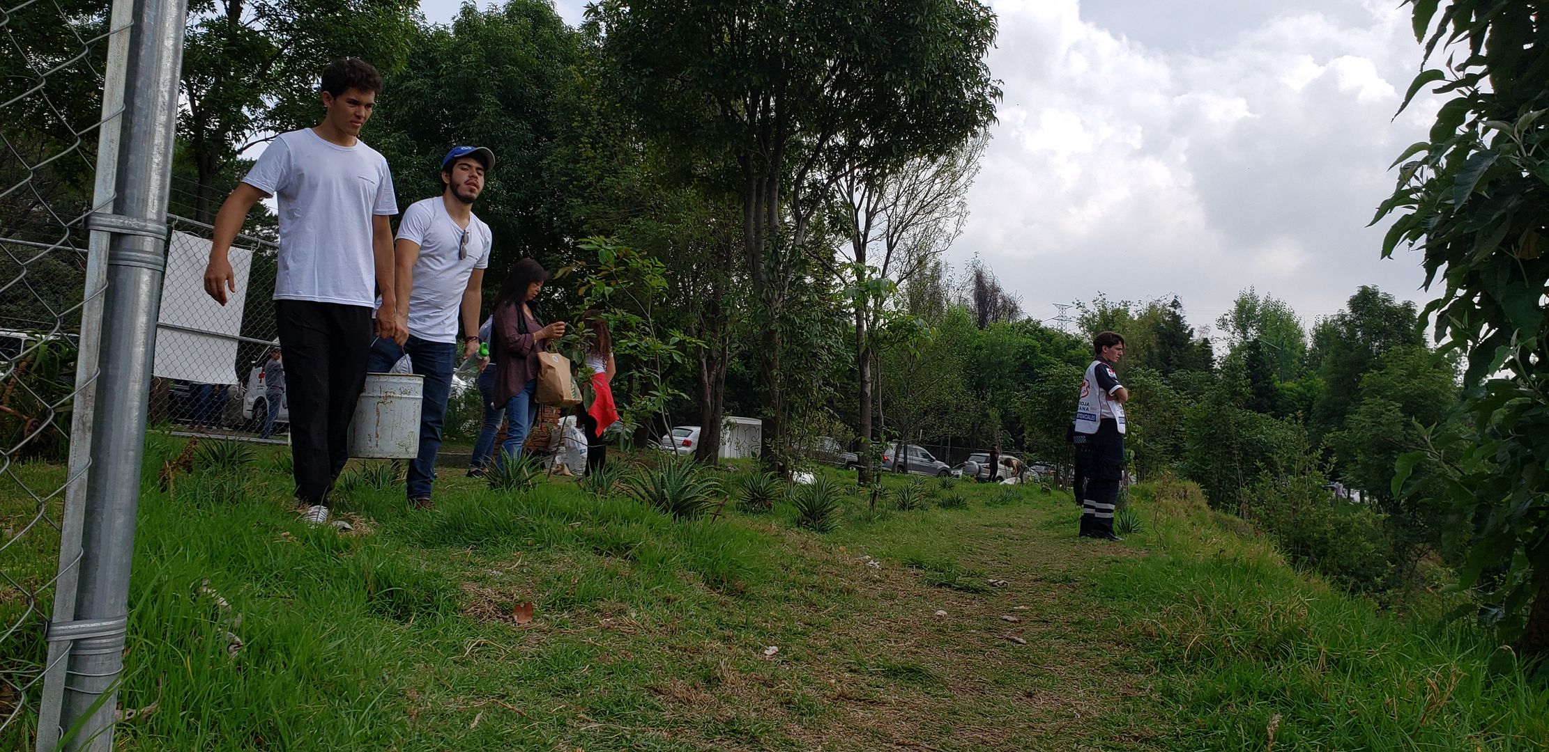 Reforestación Rehabilitación Rescate Barranca Santa Fe