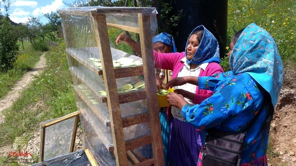 Tarahumaras en sus actividades 