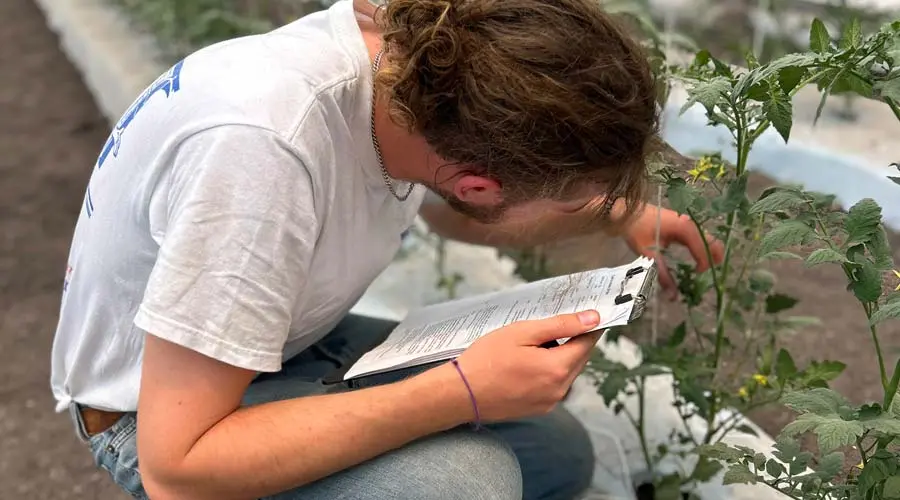 Alumno del Tec de Monterrey en invernaderos en Querétaro