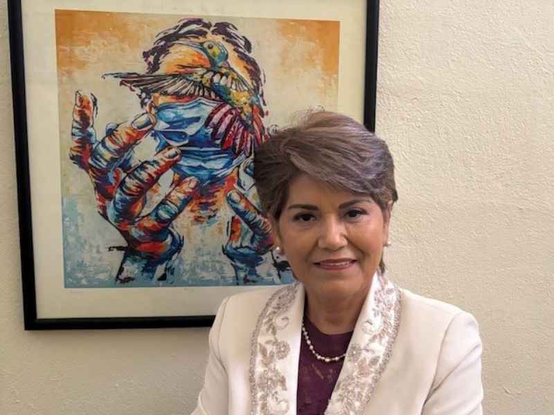 Ana Mar&iacute;a Espinosa, directora de enfermer&iacute;a del Hospital San Jos&eacute; durante la contingencia por COVID-19.