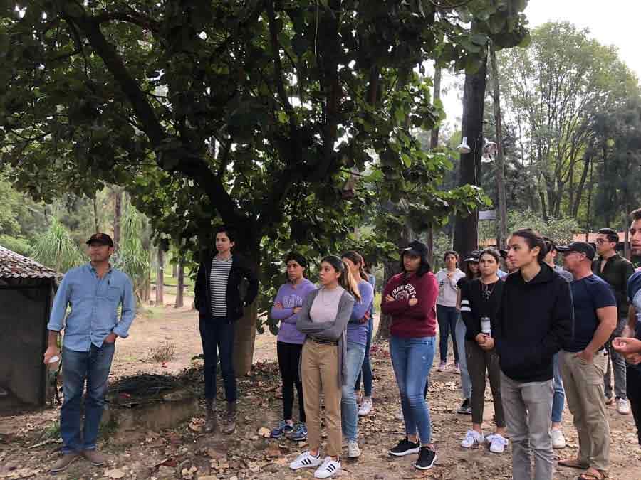 Arbolado Inteligente y Urbanismo en el Tec