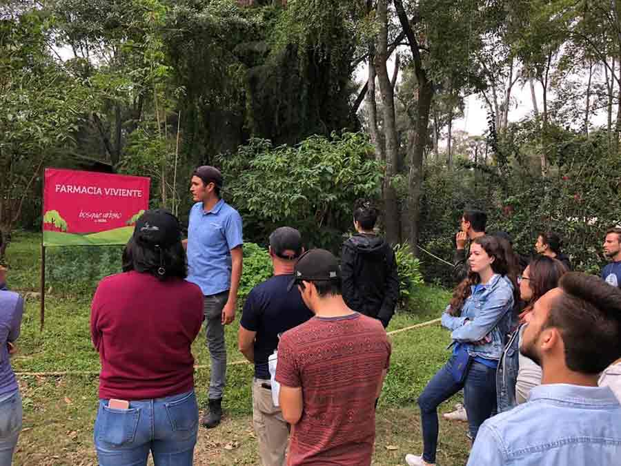 Arbolado Inteligente y Urbanismo en el Tec