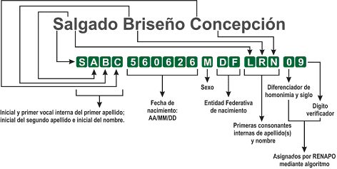 Así se conforma la CURP
