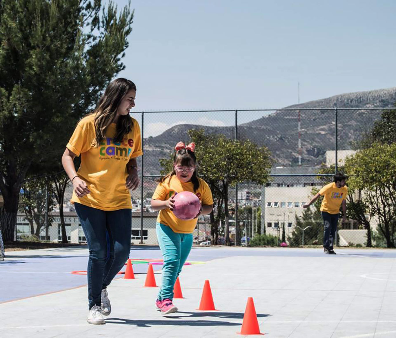 Actividades que se llevan a cabo en el curso