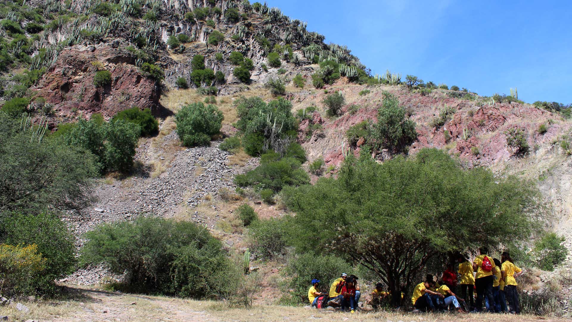 Alumnos del Tecnológico de Monterrey en el desierto de El Alberto.