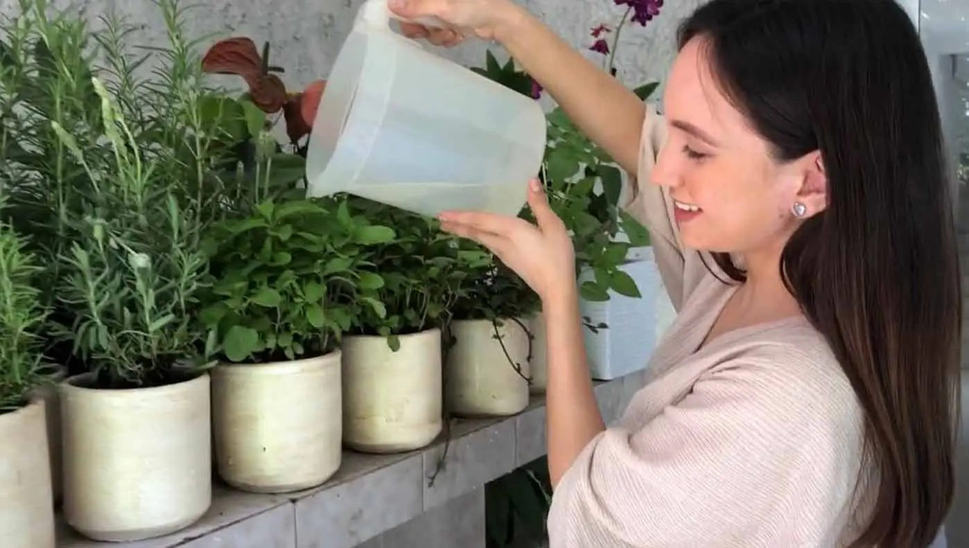 Emprendimiento alumna Comunicación de huertos urbanos