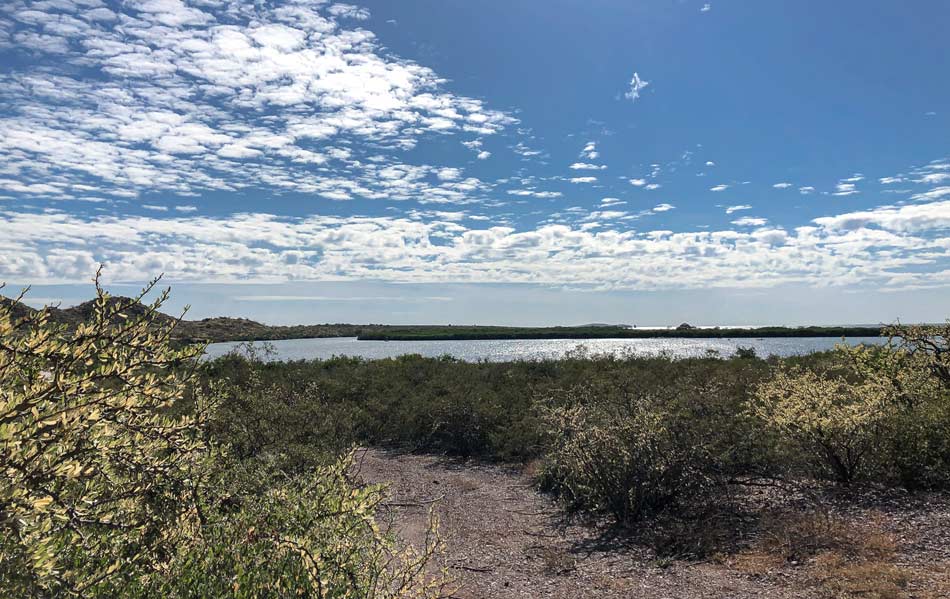 Estero del Soldado, área natural protegida en Sonora