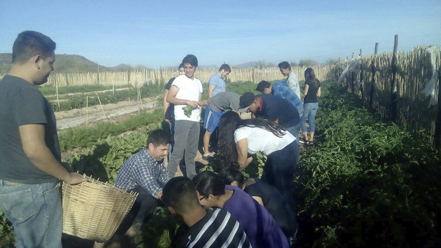 Gabriel trabajando con la Asociación