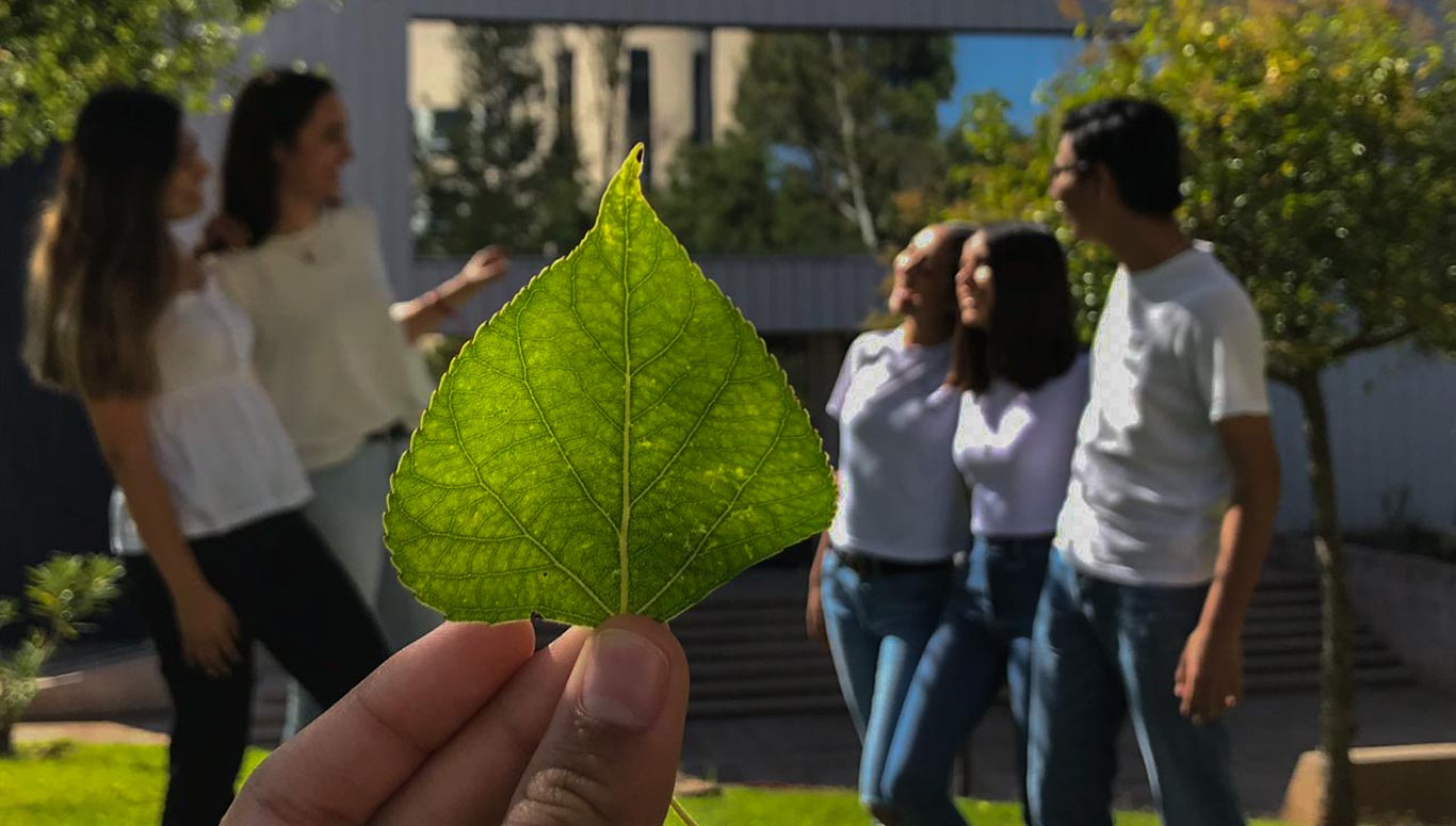 miembros de la mesa del grupo #Green