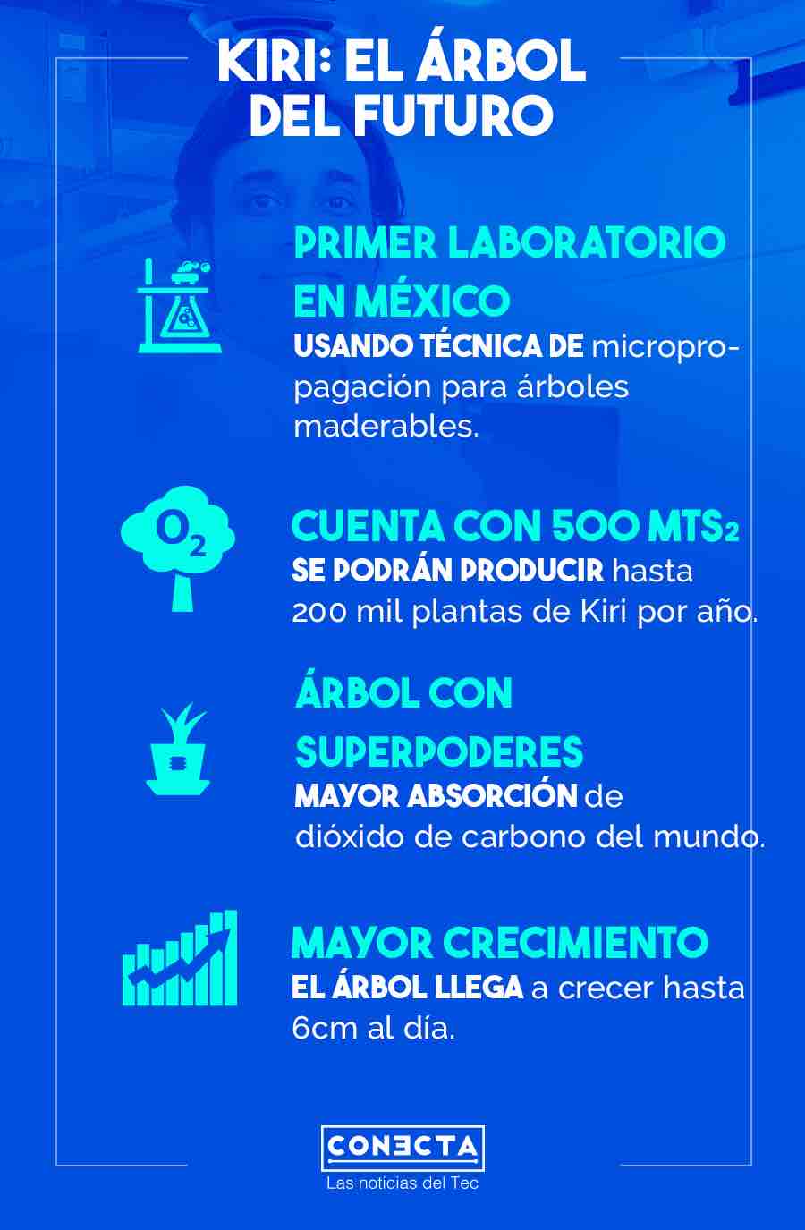 árbol kiri clonado con éxito en el Tec De Monterrey campus Querétaro universidad en Querétaro