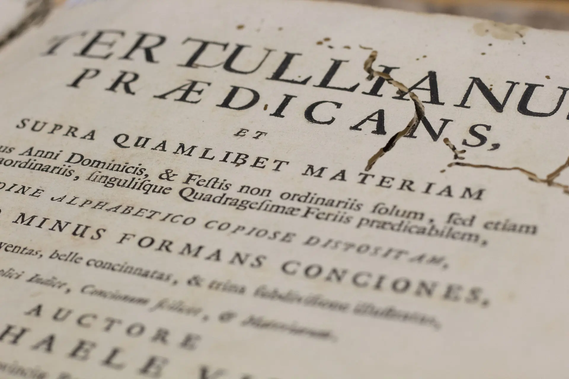 Libro con marcas de deterioro por insectos