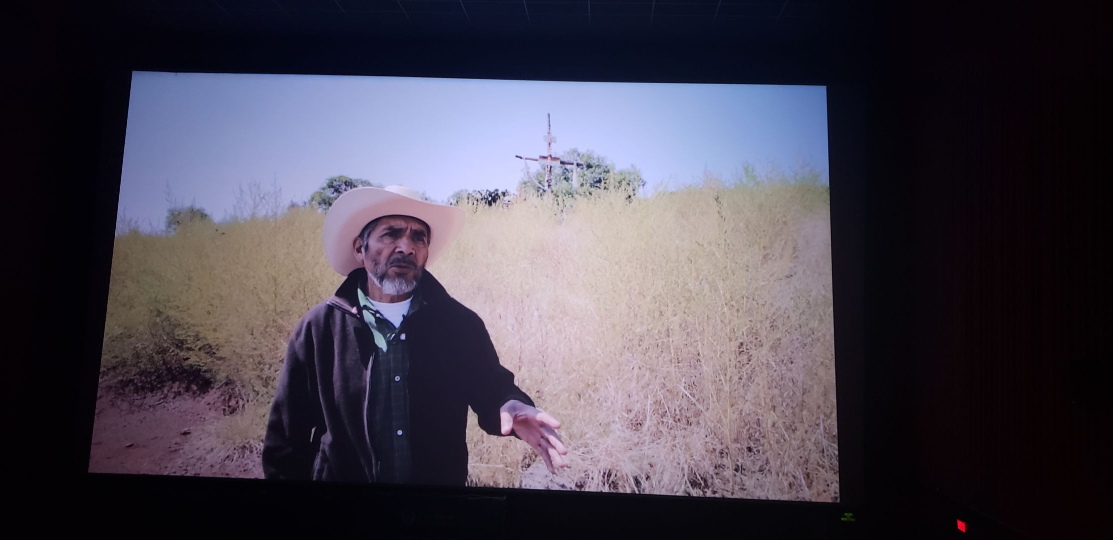 No acabarán mis flores Proyecciones 2019 Campus Ciudad de México Elisa Ayala