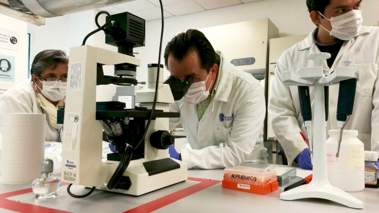 Rodrigo Balam trabajando en su microdispositivo Organ-on-a-chip. Fotografía de Magdalena Rostro