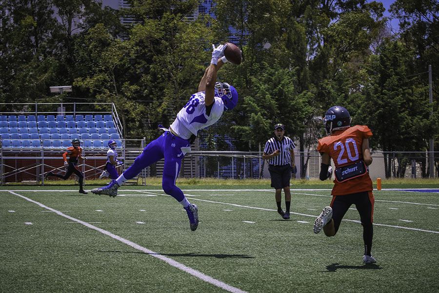 Borregos Puebla quieren llegar a punto al inicio de temporada