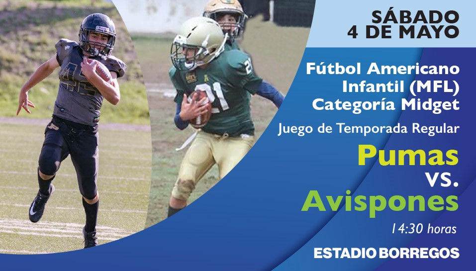 Pumas-Avispones