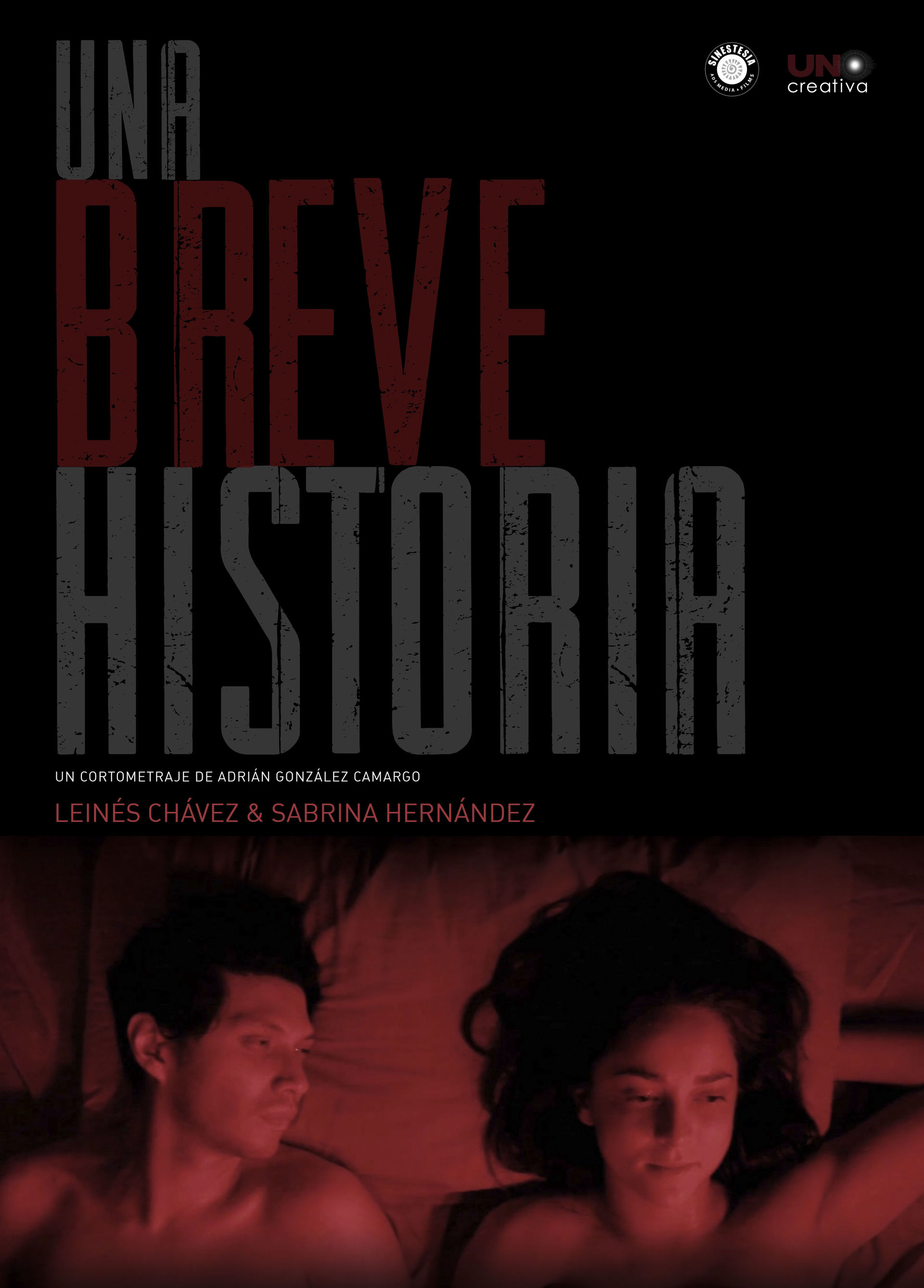 Una breve historia