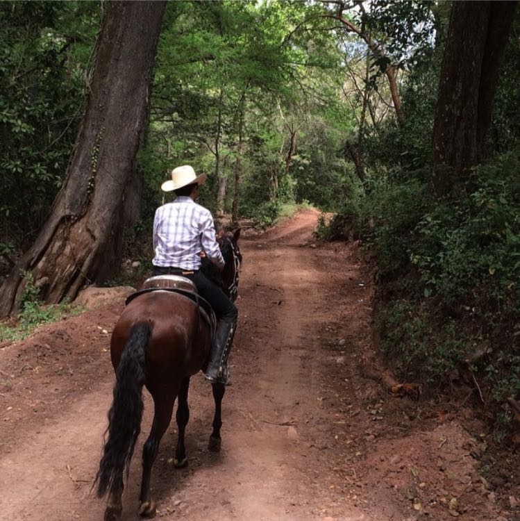 Jaime López montado a caballo en Cosalá.