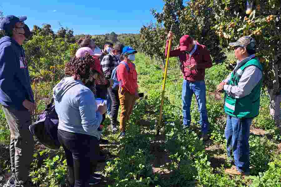 Agricultores explican el problema de la plaga al equipo