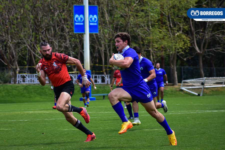 Alberto Rodríguez participará con el seleccionado nacional de Rugby.