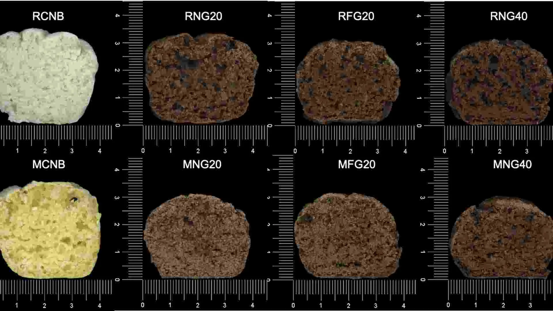 profesora investigadora tec puebla crea alimentos con harina de insectos