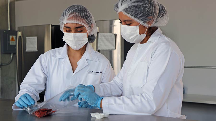 Estudiantes de Tec Campus Querétaro irán al IFT FIRST Chicago por snacks saludables