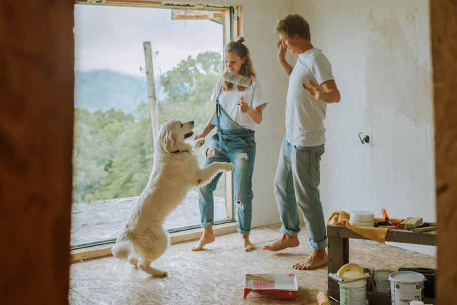 El equipo invita a la población a abandonar la indiferencia y hacerse responsable de la problemática del abandono, comenzando por el amor. Foto: Pexels.com