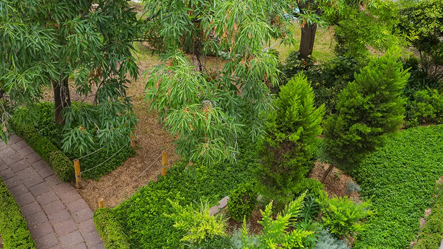campus aguascalientes área verde,