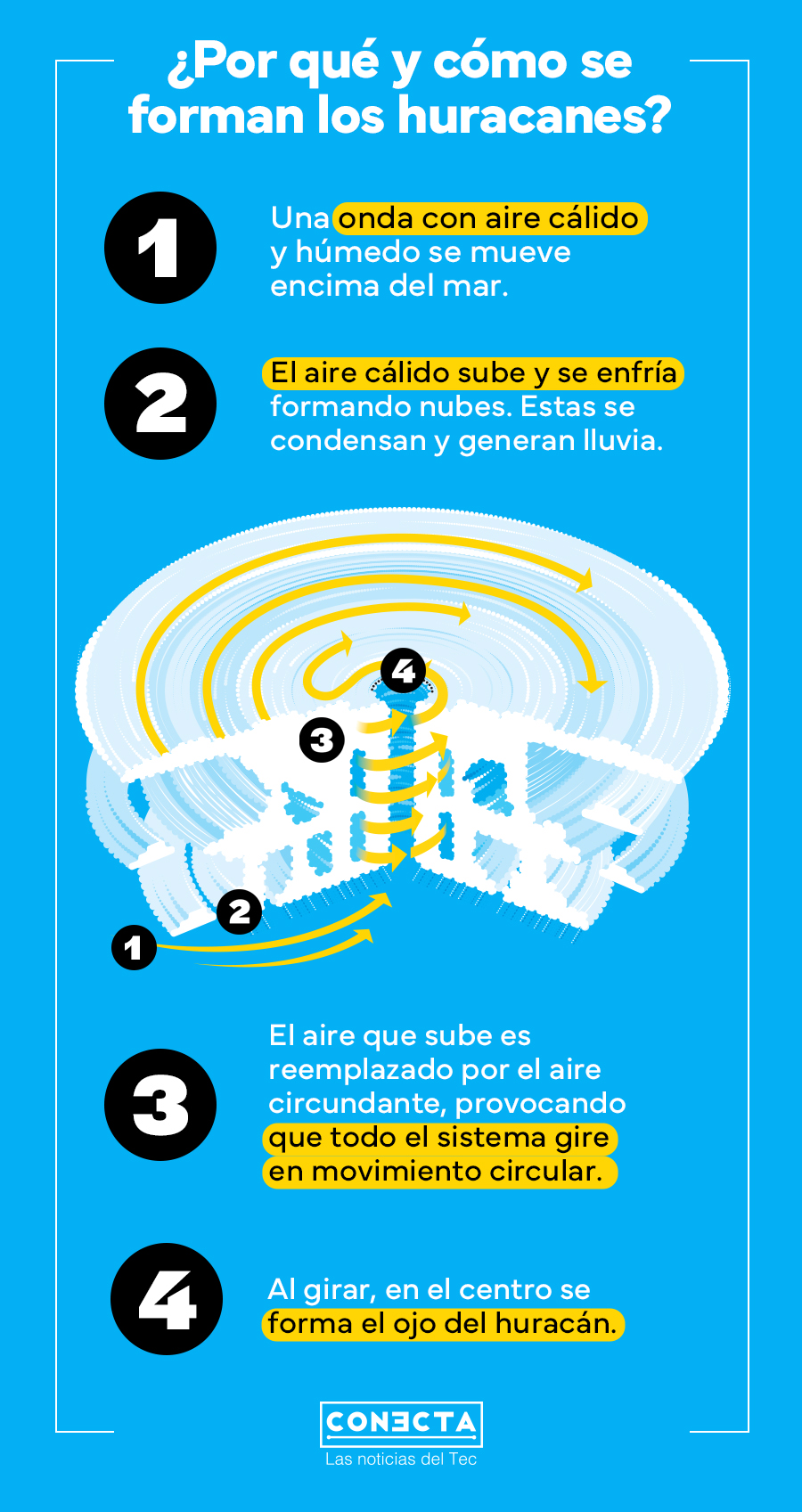 Infografía que muestra cómo es el proceso de formación de un huracán