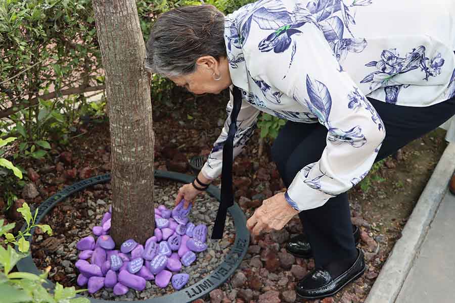 Familiares de Luz María Velázquez pusieron una piedra con un mensaje a la memoria de la profesora.