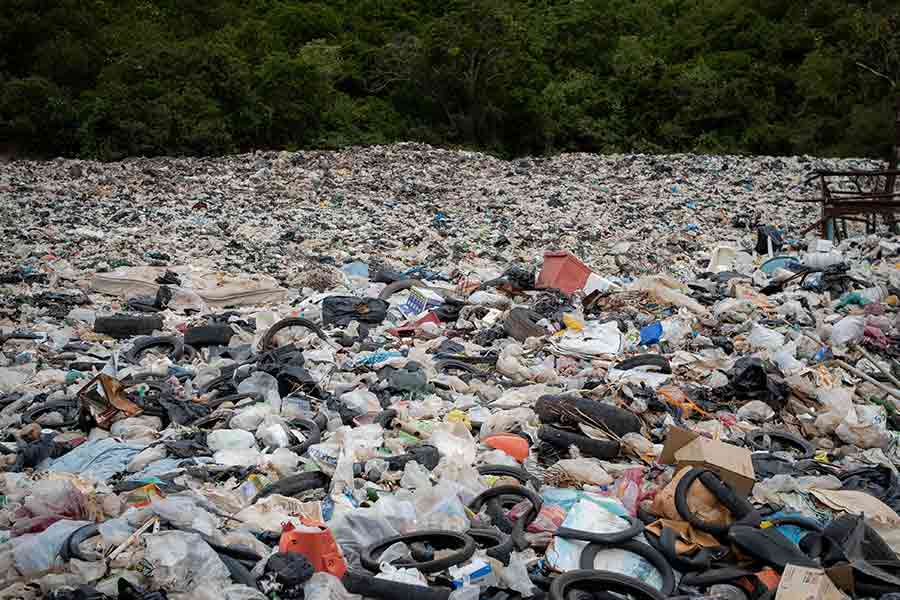 basura-desperdicio-economia-circular