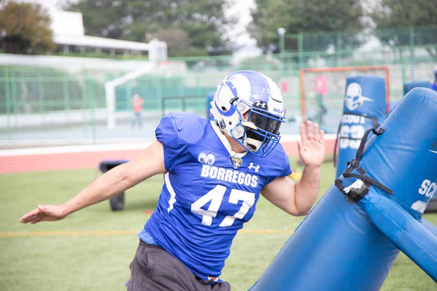 Borregos regresan a la ONEFA.