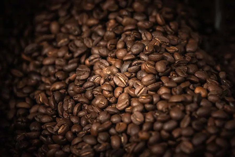 café orgánico Tziscao