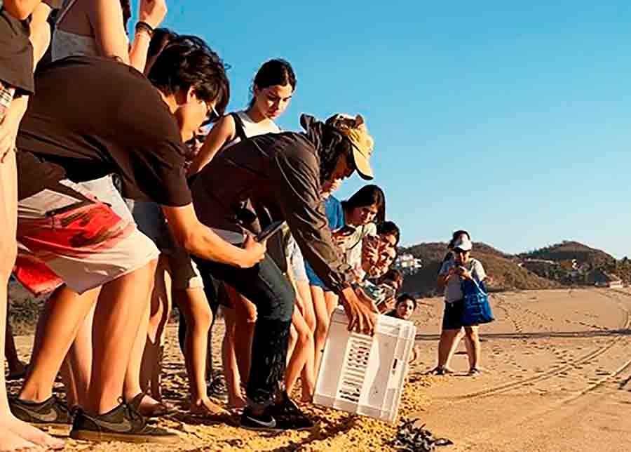 Campamento tortuguero para participantes de grupo estudiantil Manos Verdes, del Tec Guadalajara.