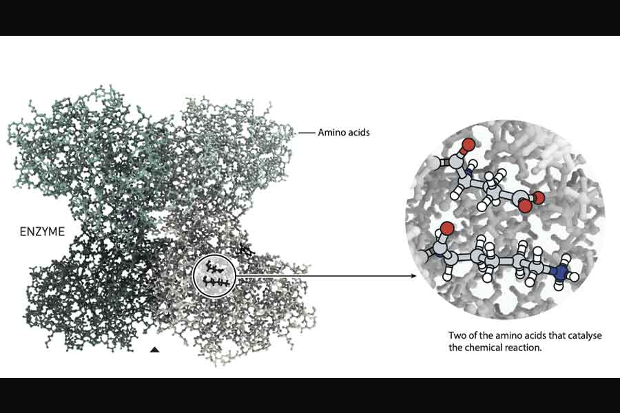 El método de organocatálisis fue premiado cn el Nobel de Química 2021