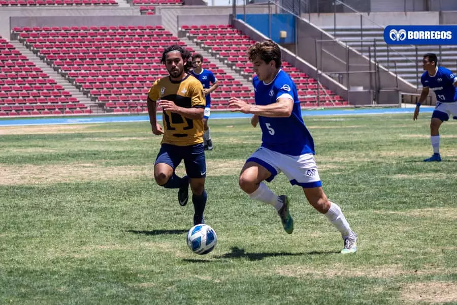 Los Borregos de Monterrey lograron el doblete por primera vez.
