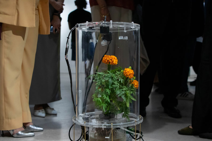 Consciencia, Science Gallery Monterrey.