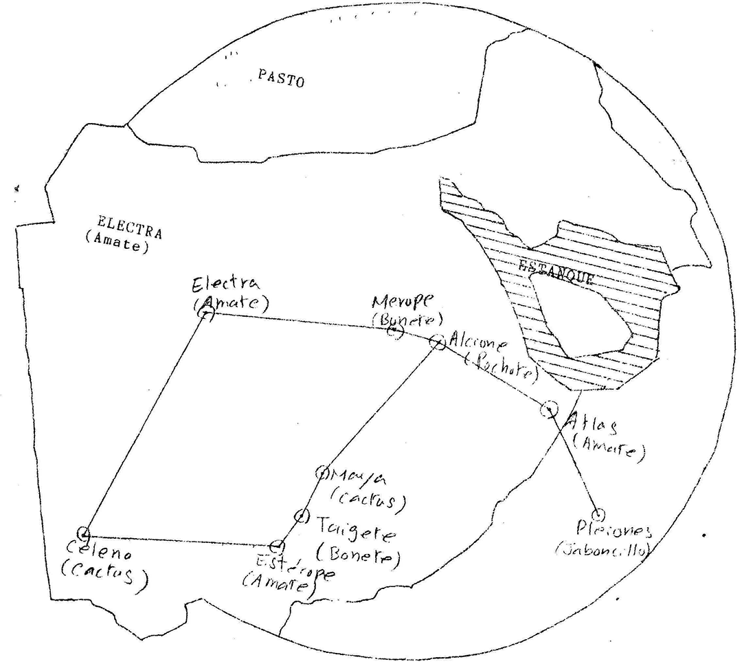 Plano del Bosque Mágico que contiene a los árboles principales que conforman la constelación Pléyades del Tec campus Cuernavaca.