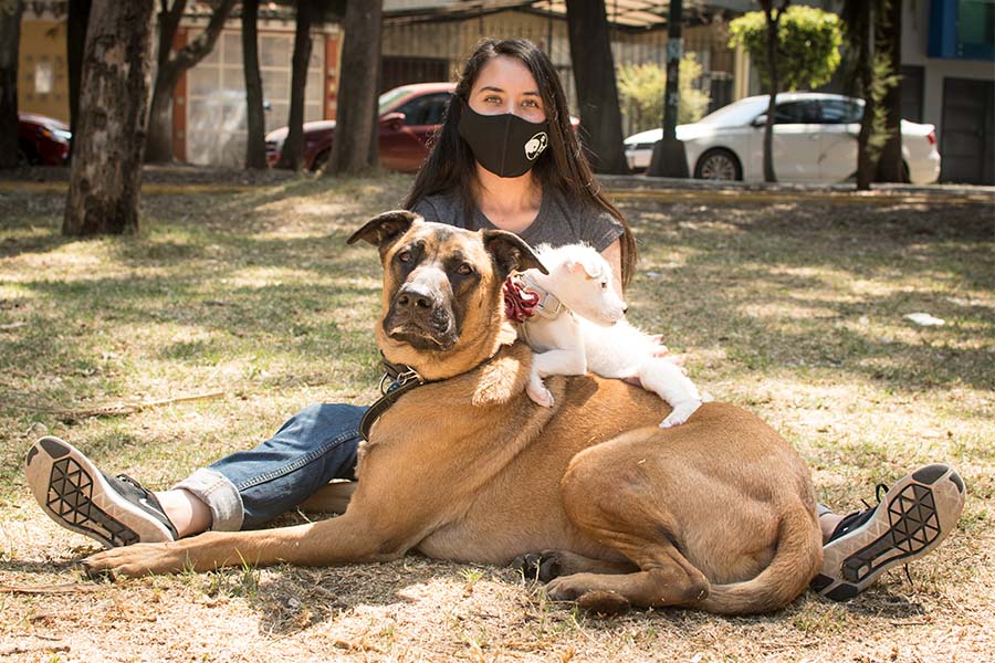 Dominique Trejo, fundadora de Dogminique, refugio de perros y gatos