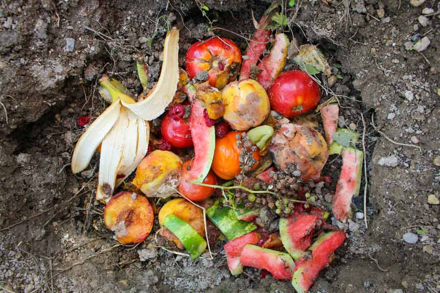 ejemplo de desperdicio de frutas