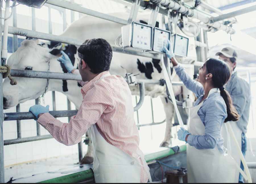 Estudiantes en el rancho agropecuario del Tec de Monterrey