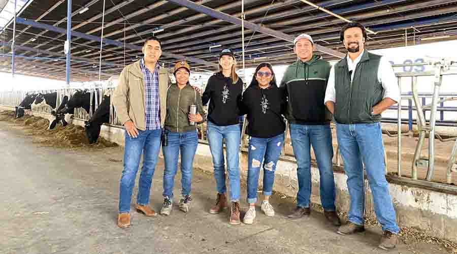 Estudiantes del Tec Campus Querétaro trabajando en establo lechero