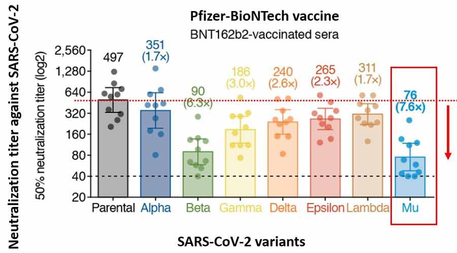 Estudio citando Biorxiv.