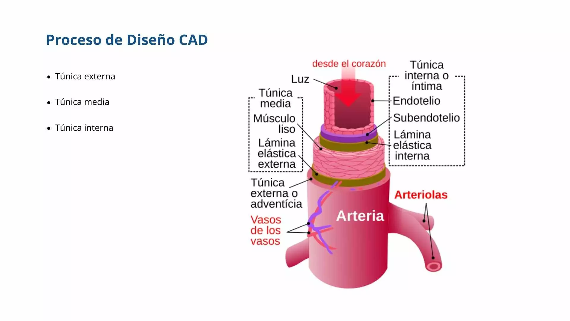 Modelo del Proceso de diseño del CAD para la bioimpresión