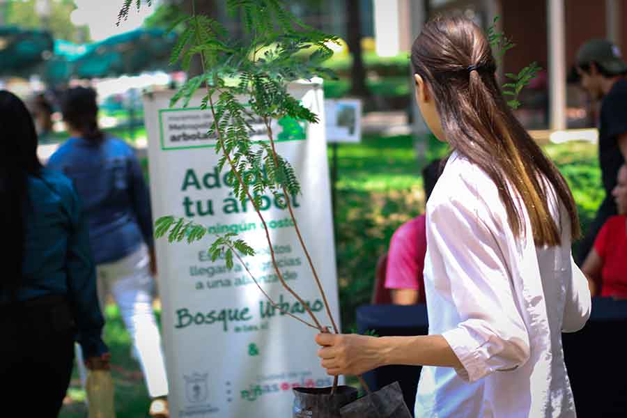 festival de emprendimiento.