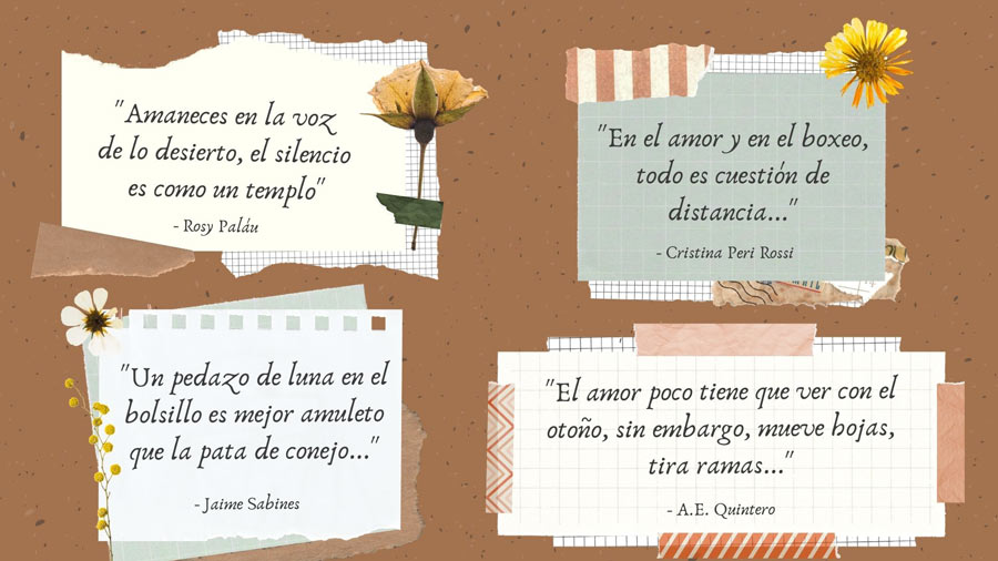 Fragmentos de poemas en hojas de papel