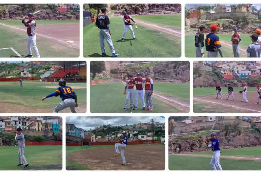 Tomateros en acción