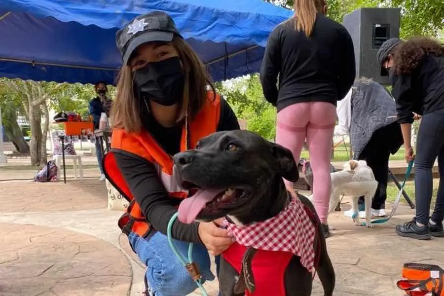 Grupo estudiantil Vale la Pena