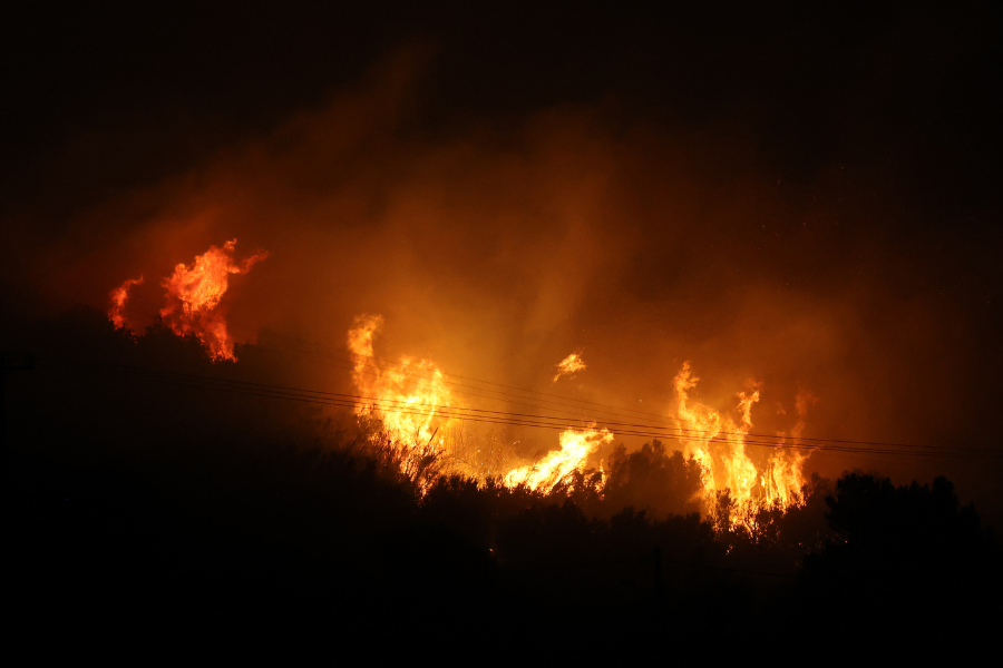 incendios forestales