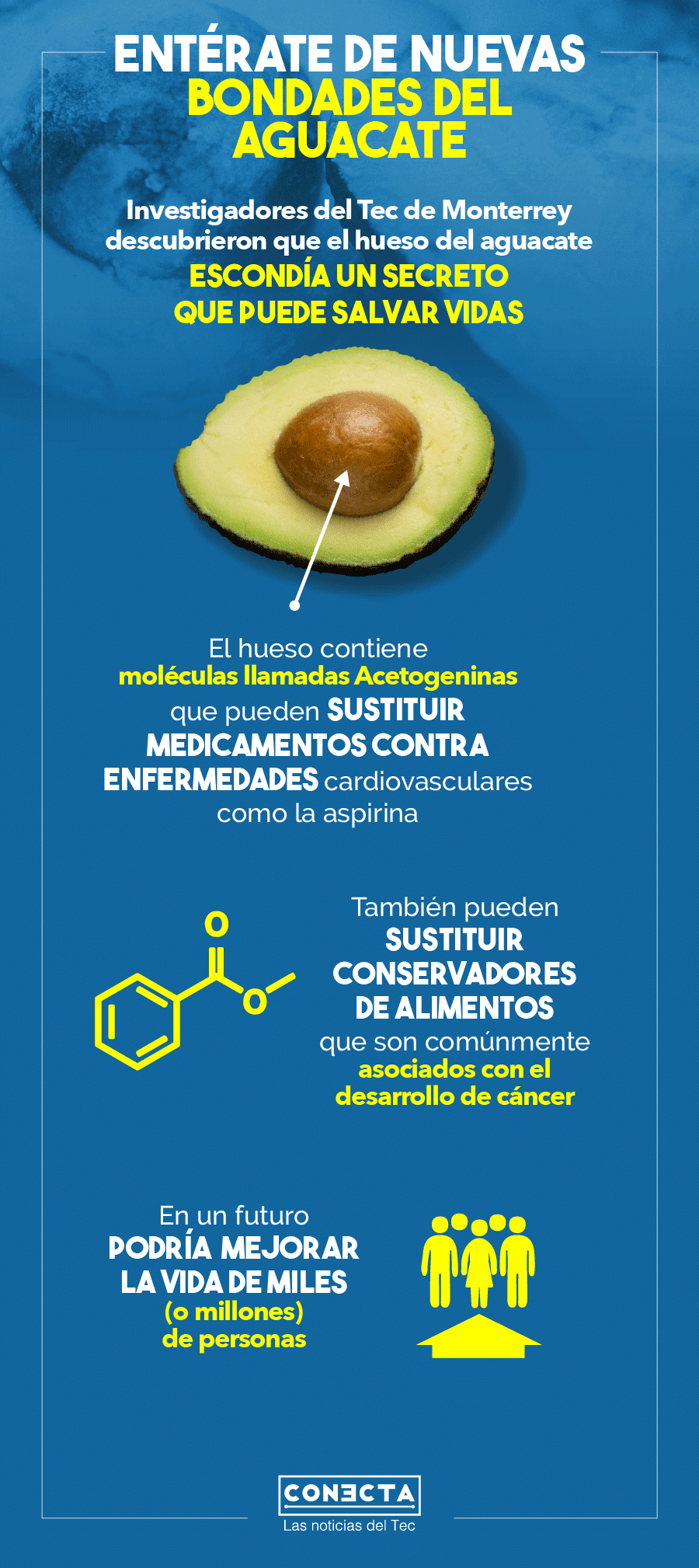 Infografía aguacate